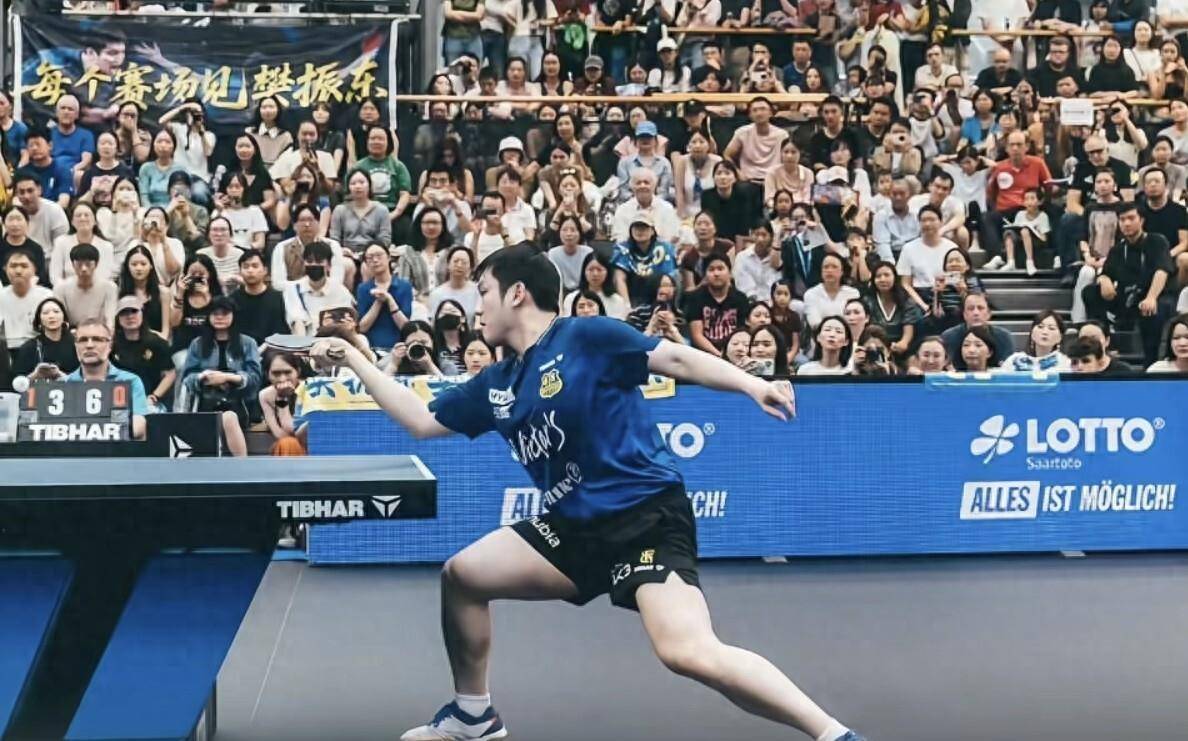 樊振东横扫豪格，赛后举动太暖心！没想到小胖又创造了欧冠新纪录